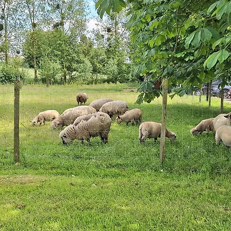 Roulotte Les Mesanges Rebecq-Rognon